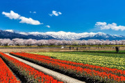 日本「みんなの国のマイナーな絶景スポットを教えてほしい」