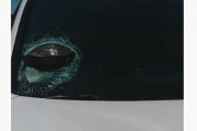 リアルマリオカート！フロントガラスに亀が刺さる珍事