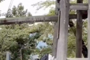 海外「日本のお坊さんが鐘を鳴らす様子が凄いんだが」