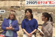 韓国人「日本皇室のアイドル『佳子姫』が2990円のニットを着て日本で議論に！」→「どうして安い服が問題なの？」　韓国の反応