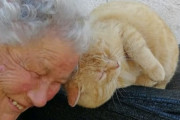 行方不明だった猫が4年ぶりに戻って来た！飼い主さんとの再会の様子が愛おしい（イタリア）