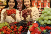 【悲報】韓国人「韓国産イチゴは、日本から盗んで来た品種に無理やり韓国品種を交雑させたイチゴだった事が判明‥」　韓国の反応