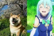 【クイズ】画像が表すキャラクターを当てろ【海外の反応】
