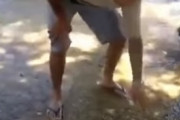 電気うなぎを素手で触るとこんなにビリっとするらしい　海外の反応