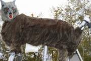 海外「日本に野生動物がいるなんて驚いたよ」北海道の住宅街にある”モンスターウルフ”が外国人の中で話題に