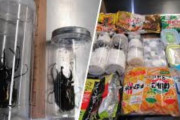 海外「日本からアメリカに送られたお菓子の中に37匹の甲虫が入っていたようだが？」