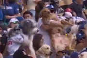 【デコピンもいる？】ドジャースタジアムで信じられない光景を目にした（犬で溢れかえる観客席）