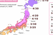 海外掲示板「日本で、2020年初の桜前線予報公開されたよ！」　海外の反応