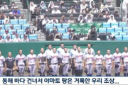 甲子園、奇跡の決勝行き…日本に鳴り響いた韓国語の校歌＝韓国の反応