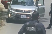 韓国人「車4台止めて無断横断している動物の正体がこちら」