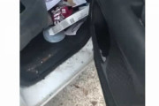 超閲覧注意！大量のゴキちゃんが蠢く激しく汚い車内