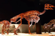 【大発見】皮膚や爪の残る「恐竜のミイラ」がアメリカで発見、すげええええええええ