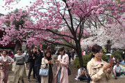 韓国が~もよろしいですがたまには→「平和」しかない！隅田川ほとりの満開の桜と清々しい街並みの風景「言葉はいらない！景色だけで日本が好きになる！」海外の反応