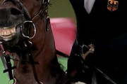 東京五輪で馬への虐待が大炎上　ドイツコーチが跳ばない馬を殴る