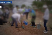 韓国人「助けても感謝をしない国は二度と助けるな！」モロッコ人が韓国人を侮辱！韓国人を「コロナ」と呼びながら投石！　韓国の反応
