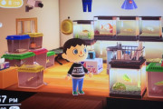 外国人「あつまれどうぶつの森、お前らの初日の成果を披露していこう」