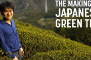日本茶の名産地で、お茶ができるまでを体験！