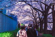 イタリア人写真家「日本にまた行ってきたので風景を見せていく！」