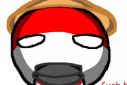 【世界】オランダとベルギーの元植民地【ポーランドボール】