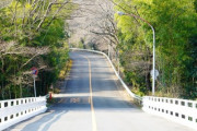 日本の小さな隠れ家的な町へのドライブ旅行「なんて美しい家族なんだ」「日本のいろいろなサービスエリアに立ち寄るのが好きでした」海外の反応