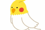 「朝からクロワッサンを食べるオウムが、なんだか人間っぽいとき…」