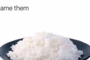 外国人「2つの調味料orおかずで白米を食えって言われたらどうする？」
