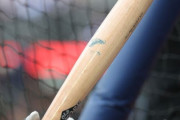 韓国人「日本のプロ野球、「魚雷バット」使用許可…KBOはいつ？」韓国の反応