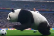 中国人「1980年以降、日本と中国のサッカーは完全に正反対の道を歩んだ」　中国人「これが日本であり日本人」「中国は歴史から何も学ばない」