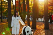 中国人「11月26日、清水寺は神となった」　中国人「この日は本当にきれいだった」「観光客は減ってない」