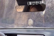 韓国人「新車を買ってわずか2ヶ月で事故を起こした女性」