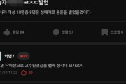 大学教授の「女性8割が売春」発言に韓国で怒り、コメント欄は「本人が買春しているだけでは」と批判一色