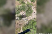 米テキサス州国境沿い、不法移民達によって残されたゴミが散乱…[海外の反応]