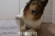 【韓国の反応】「犬に変身したい」…2000万ウォンの特殊衣装を作った日本男性。韓国の反応「やりたいことを成し遂げる姿が素敵。/世の中は広くて狂った人間は多い。」