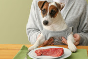 「なんで牛は食っていいのに、犬は食っちゃダメなの？」【海外の反応】