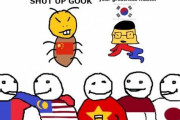 韓国人「ベトナムが嫌韓の理由とは？」ベトナムへの嫌韓は劣等感の表われではないでしょうか・・　韓国の反応