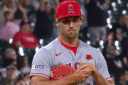 【海外の反応】エ軍豪腕の球を打者目線で見るとこうなる【MLB】