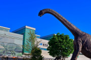 外国人「観光客から過小評価されてる日本の都市を教えてくれ！」