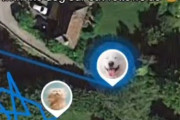「猫にGPSをつけたら意外な事実が発覚した…」→犬の散歩をする飼い主を追跡していた