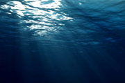 あの "ファインディング・二モ" でも有名！「海（Ocean）」をテーマにした曲 「Haiku」をご紹介 海外の反応