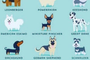 「犬の散歩は1日2回、合計1時間以上しろ」ドイツの新法律が話題に