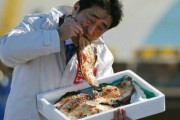韓国人「日本は政治後進国」安倍の韓国バッシング→右翼集結→支持率の上昇、安倍の“韓国叩きの公式”とは？　韓国の反応