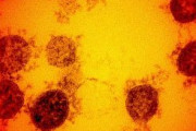 海外「中国は5年前からコロナウイルスの兵器化について論じていたようだ」
