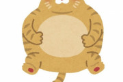 「太った猫のダイエットに成功したよ…ビフォー＆アフター写真を見てほしい」