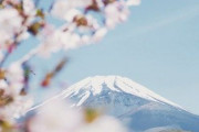 日本以外でやったら変？！日本に長く住んでいるせいでクセになってしまっていることは？ 海外の反応