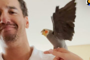 「彼女は僕のもの！」嫉妬心が強いオカメインコに飼い主さんの彼氏も困り顔…果たして仲良くなれるのか？