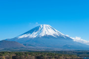 海外「すごい！」日本の芸術が飛び出してくる本に海外びっくり仰天！（海外の反応）
