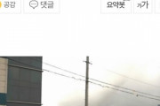韓国人「韓国がフッ化水素を日本に依存した理由を見てみよう」「左派はいつも足を引っ張るね…」
