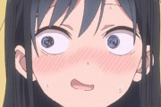 【疑似ハーレム】このポンコツ萌えキャラの感想くれ【海外の反応】
