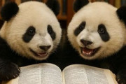 中国人「日本語で中国語由来の外来語を発見！」　中国人「日本語は包容力が高い言語」「麻婆豆腐食べてくる！」