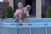 究極に泳ぐのが好な犬…どんなに飼い主がプールから出そうとしても突入してくる